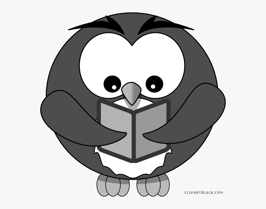 Transparent White Owl Png - Clipart Transparent Owl Reading, Png Download, Free Download
