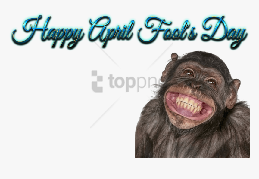 Free Png Download Happy Birthday Funny Smile Png Images - Happy Birthday Funny Background, Transparent Png, Free Download