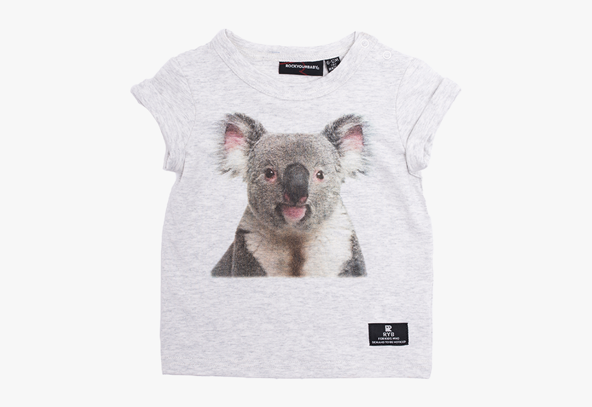 Koala, HD Png Download, Free Download