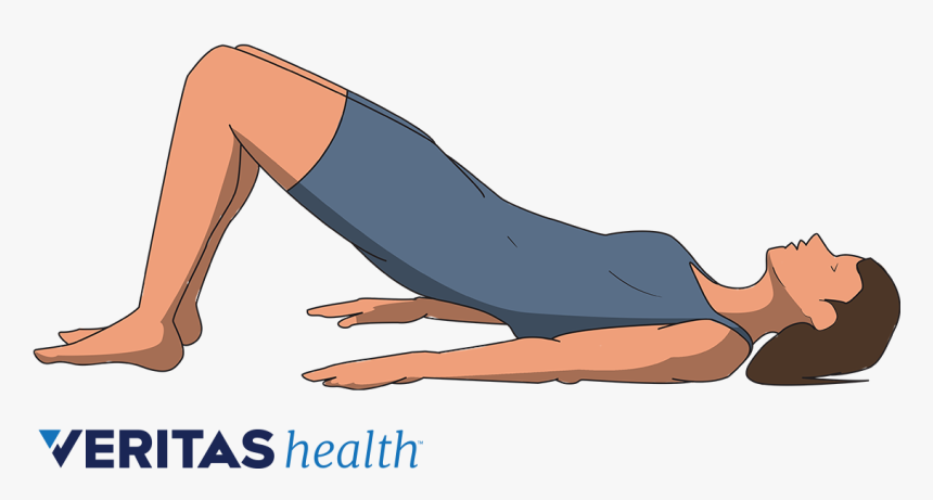 Illustration Of Person Doing A Bridge Exercise - Press Up, HD Png Download, Free Download