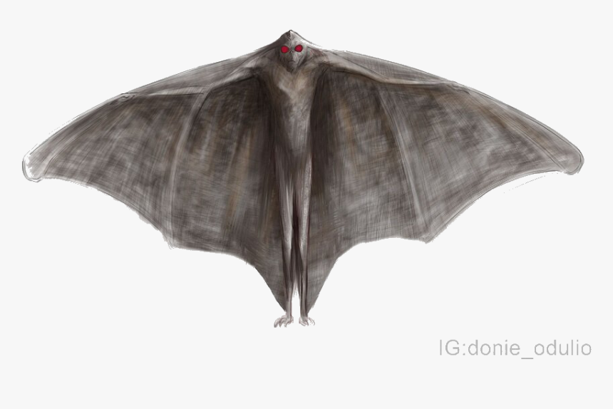 Mothman V2 - - Mothman O Hare Airport, HD Png Download, Free Download