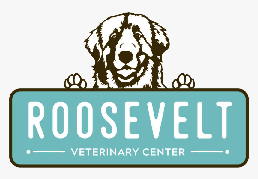 My Jewish Journey: How I Went From Over $300k In Debt, HD Png Download, Free Download