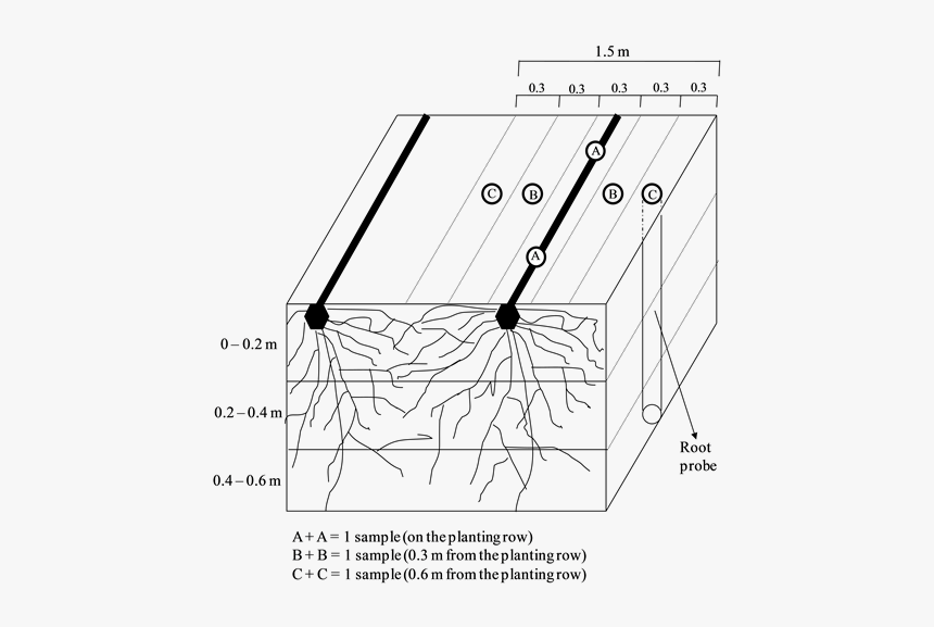 Diagram, HD Png Download, Free Download