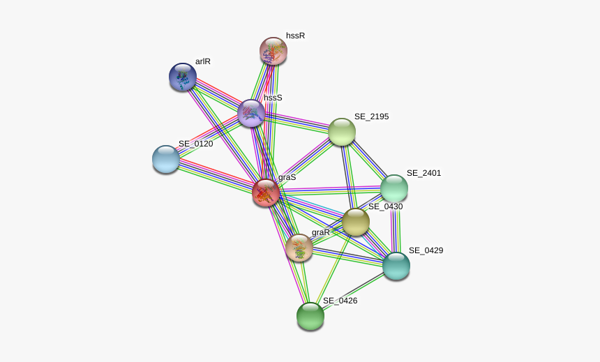 Gras Protein - Circle, HD Png Download, Free Download