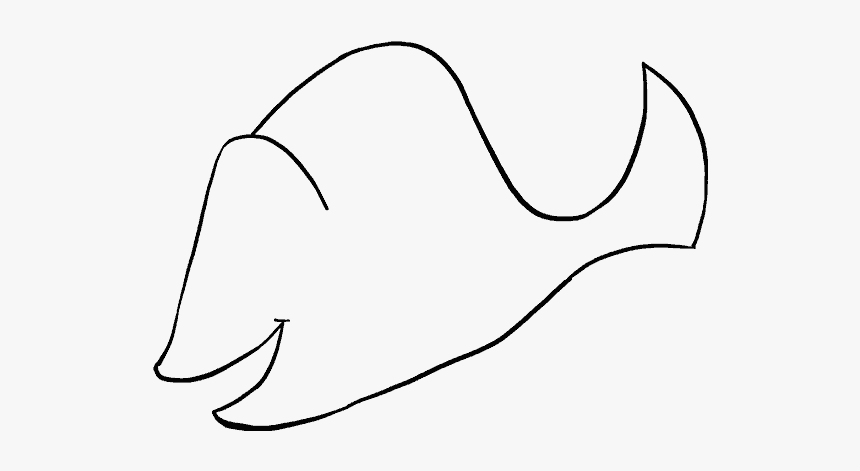 Drawing Dory Black And White - Coral Reef Fish, HD Png Download, Free Download