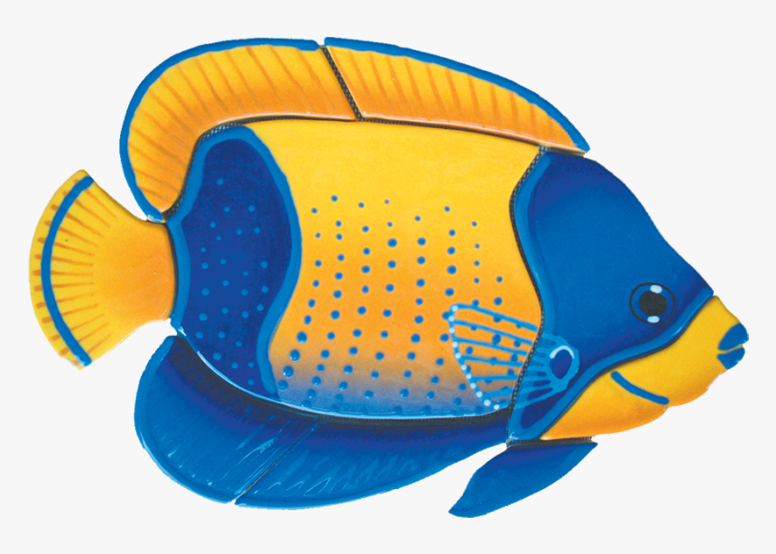 Ma54 Majestic Angelfish - Angelfish, HD Png Download, Free Download