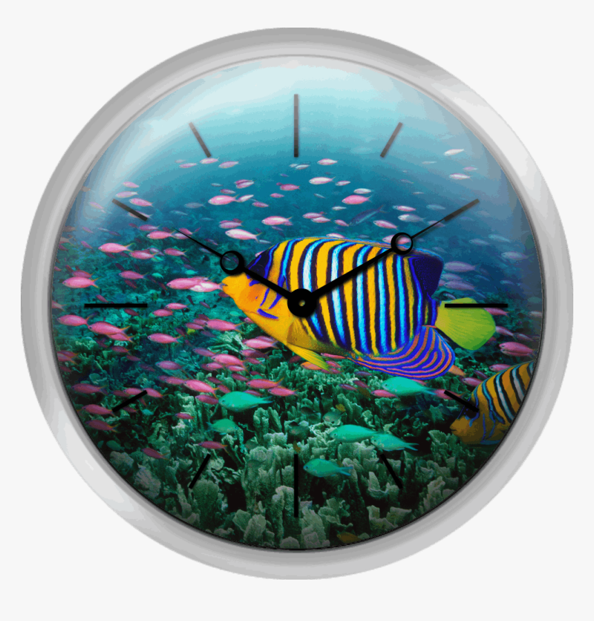 Regal Angelfish And Purple Anthias In Coral Reef Digital - Fish At London Zoo, HD Png Download, Free Download