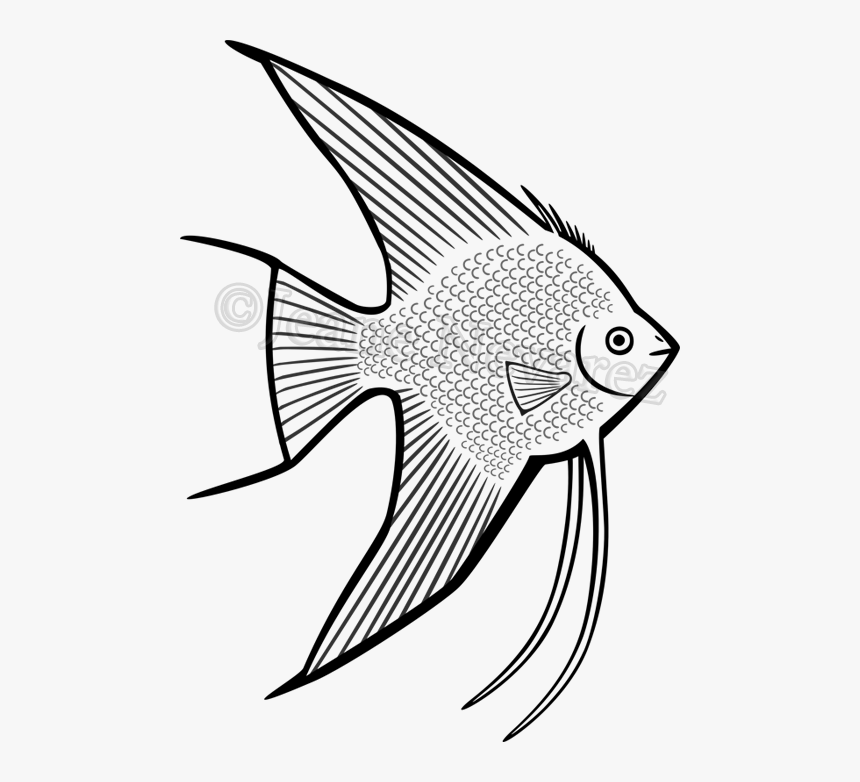 Draw A Fish Very Hard, HD Png Download, Free Download