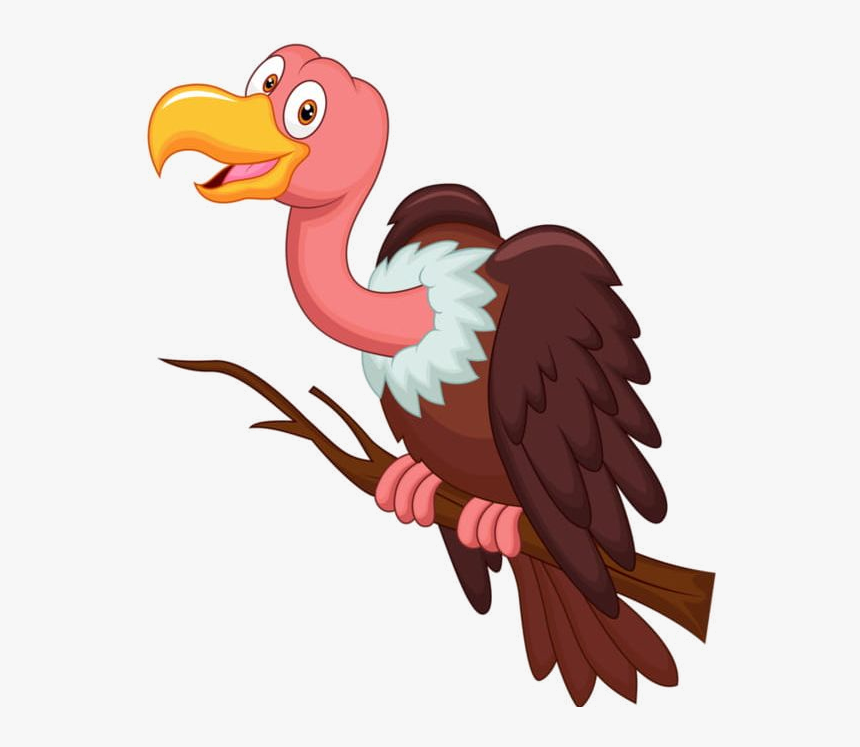 Vulture Cartoon Clipart Animal Bird Transparent Png - Vulture Clipart Png, Png Download, Free Download