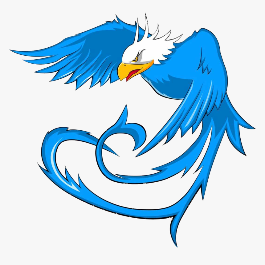 Bald Eagle, HD Png Download, Free Download