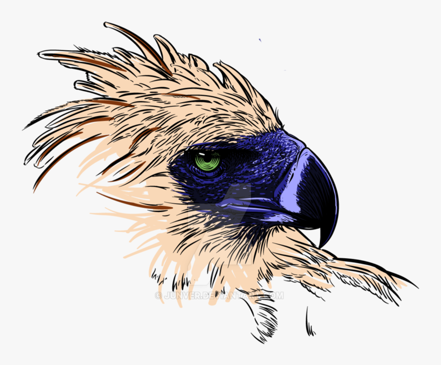Thumb Image - Philippine Eagle Transparent Background, HD Png Download, Free Download