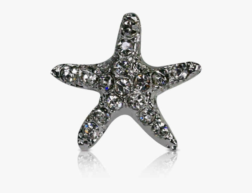 Starfish, HD Png Download, Free Download