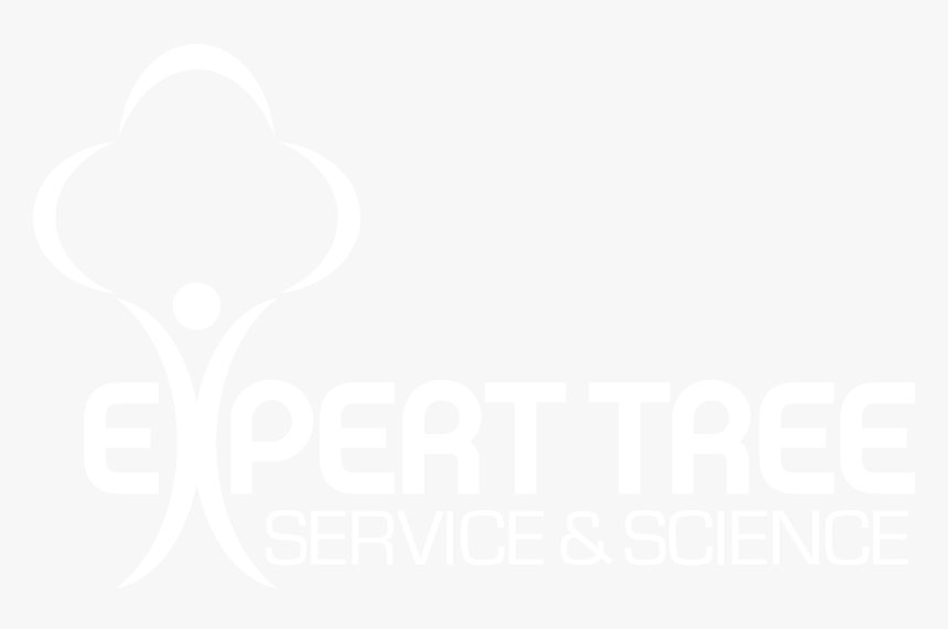 Graphic Design, HD Png Download, Free Download