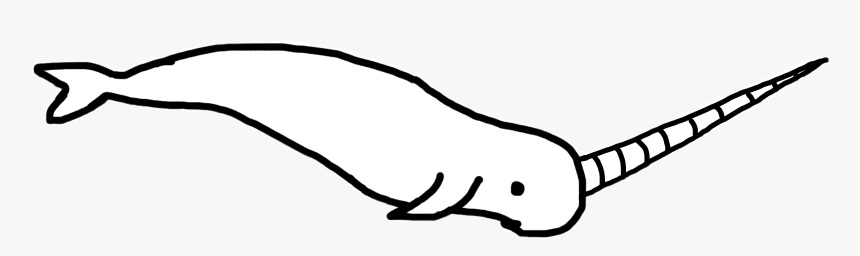 Cliparts For Free Download Narwhal Clipart Drawing - Narwhals Line Drawing, HD Png Download, Free Download