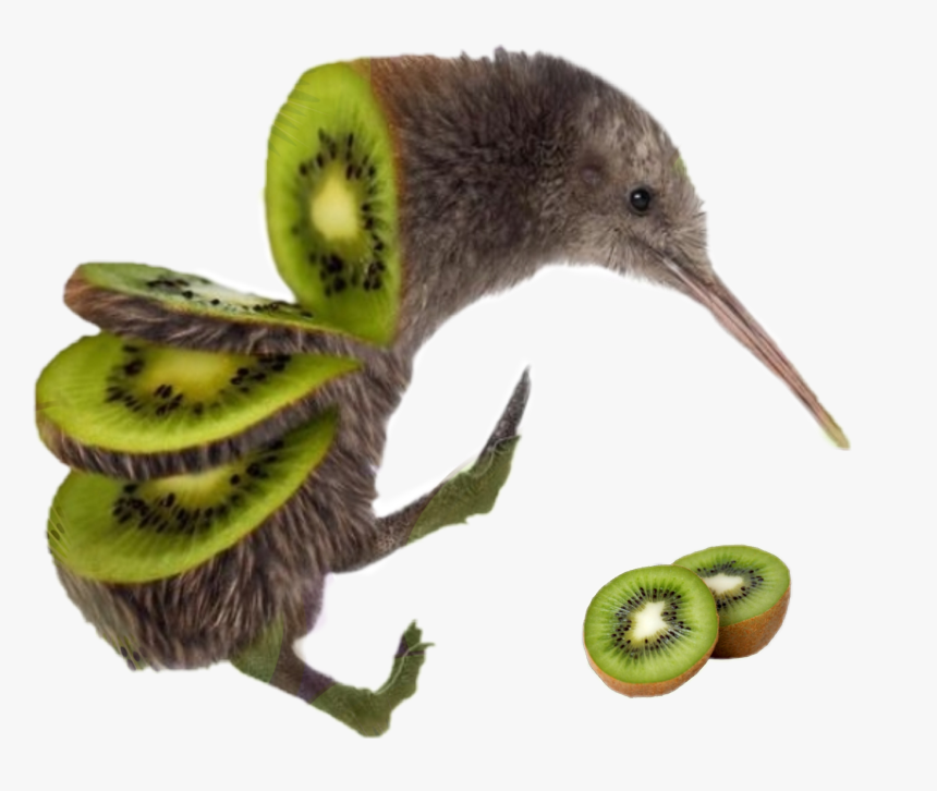 #kiwi #bird #kiwibird #birdkiwi - Sliced Kiwi Bird, HD Png Download, Free Download