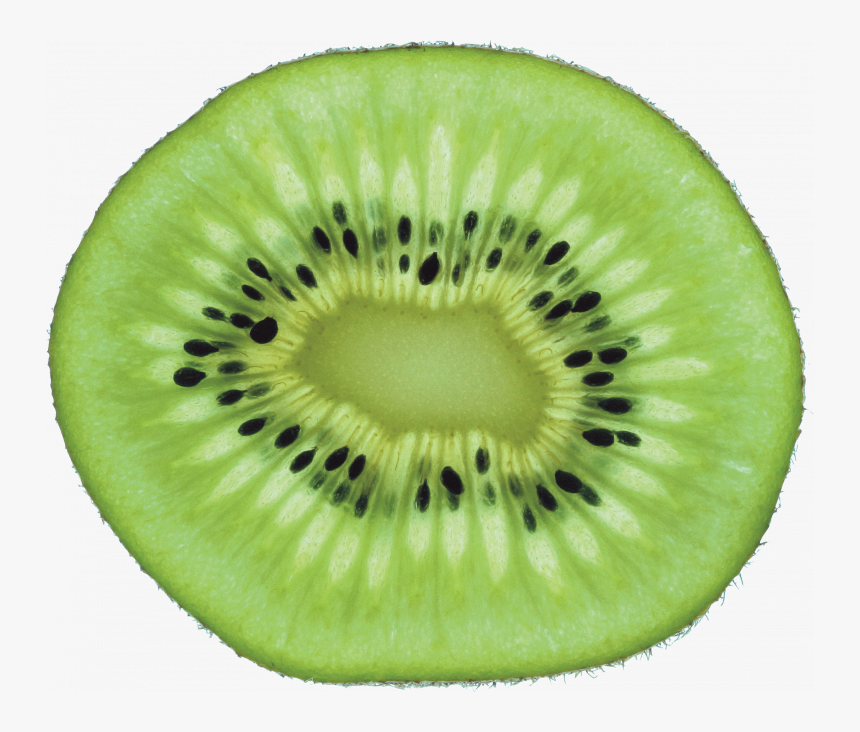 Free Download Of Kiwi High Quality Png - Transparent Background Kiwi Png, Png Download, Free Download