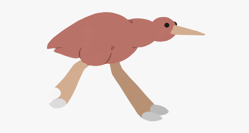 Kiwi Bird Png, Transparent Png, Free Download