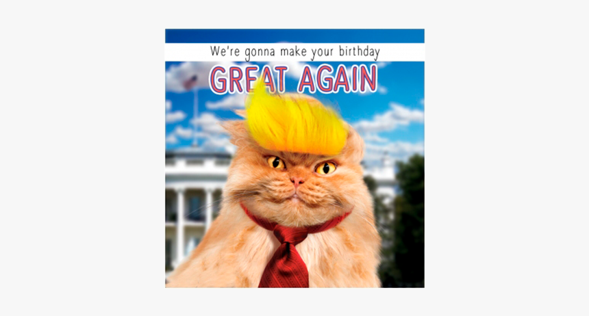 Birthday Funky Quirky Unusual Modern Cool Card Cards - Donald Trump Cat Card, HD Png Download, Free Download