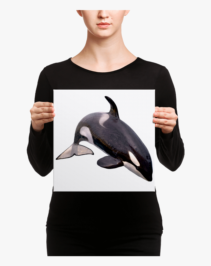 Transparent Killer Whale Png - Canvas, Png Download, Free Download
