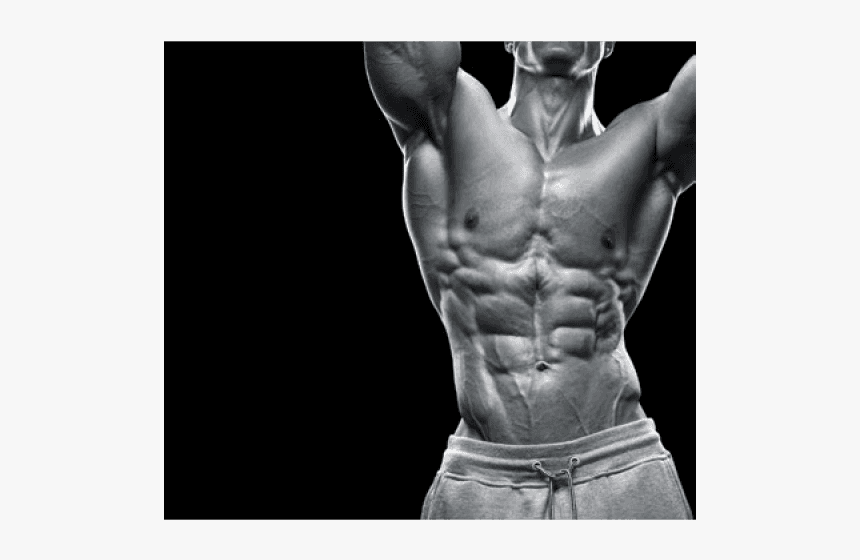Male Bodybuilding Lat, HD Png Download, Free Download
