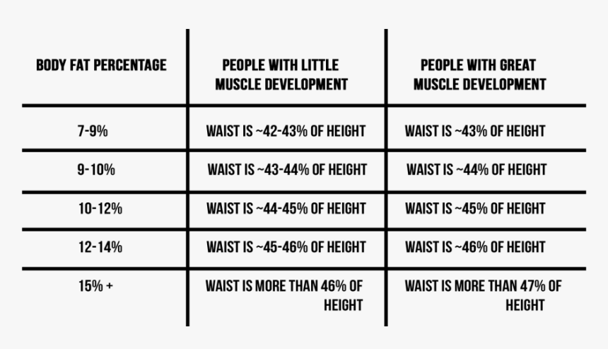 Waist Height Body Fat, HD Png Download, Free Download