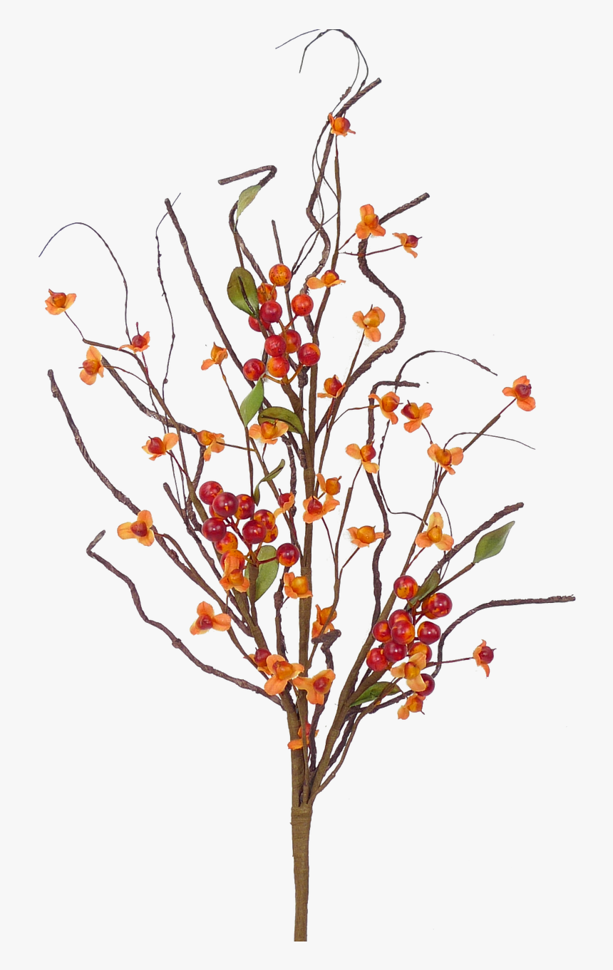 32 - Twig, HD Png Download, Free Download