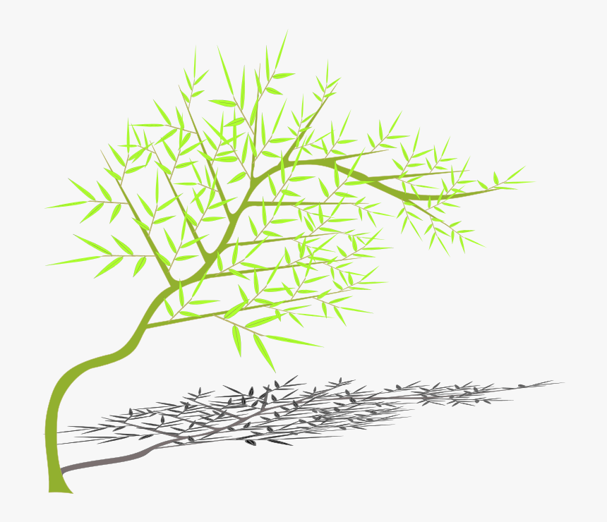 Bamboo - Illustration, HD Png Download, Free Download