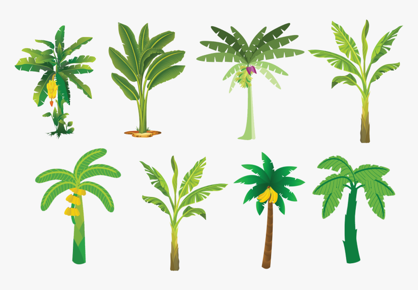 Banana Tree Vector Free, HD Png Download, Free Download