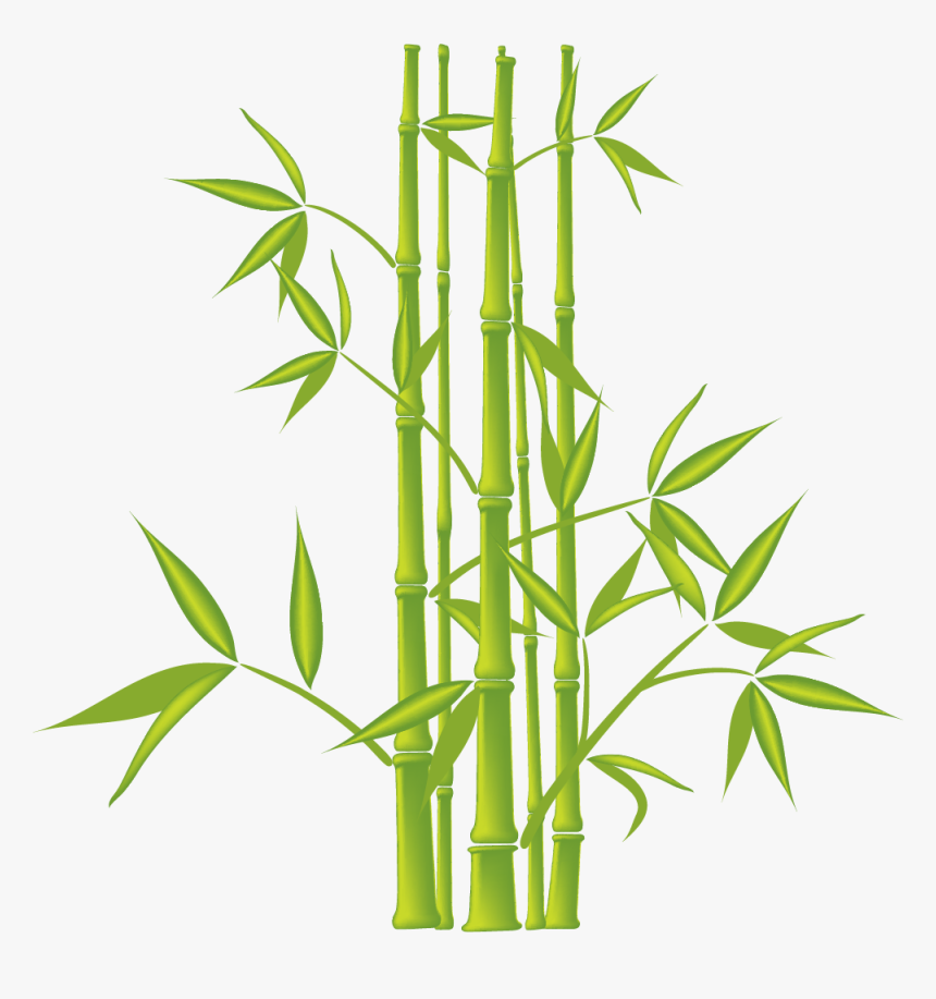 Bamboo Vector Bush, HD Png Download, Free Download