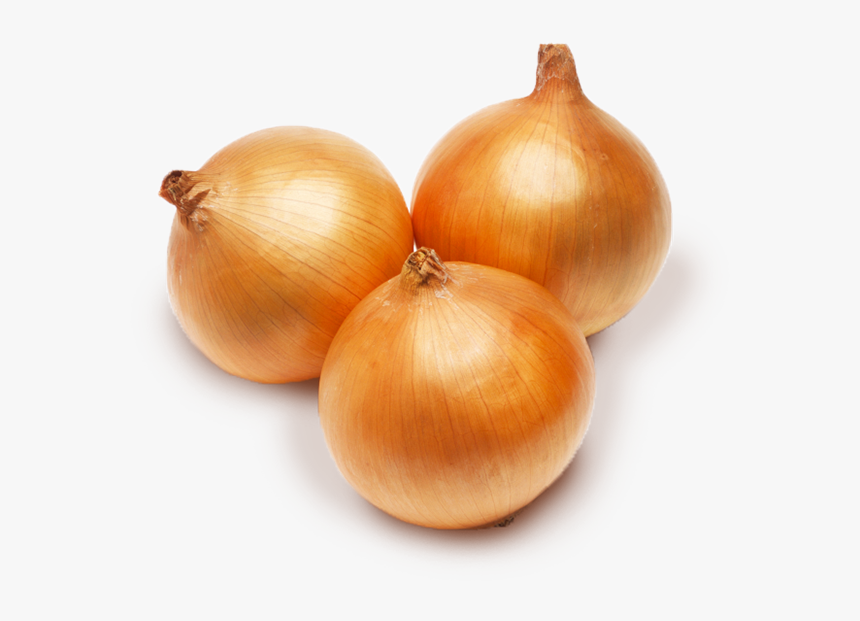 Yellow Onion, HD Png Download, Free Download