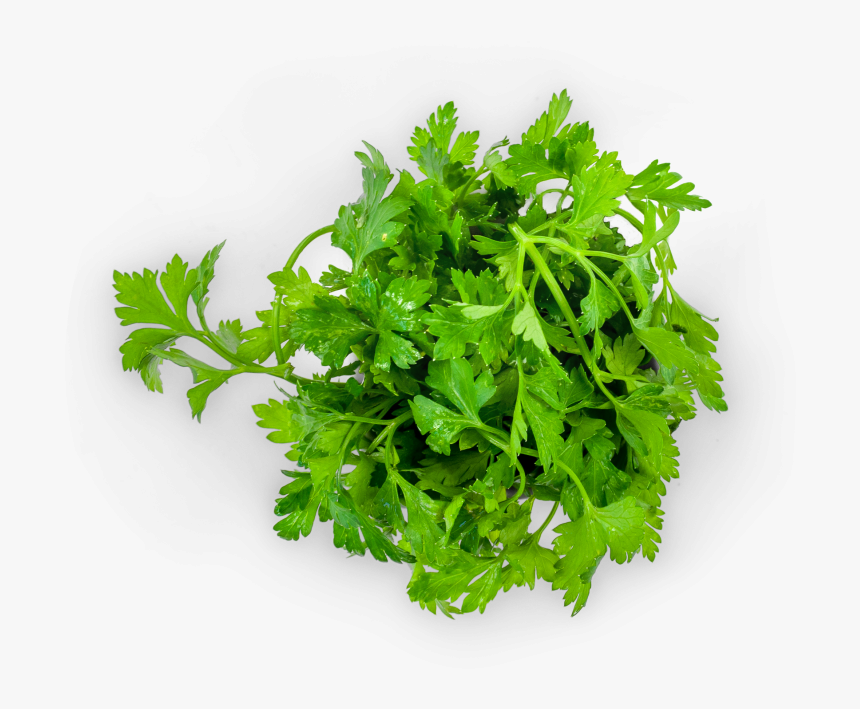 Green Leafy Vegetables India, HD Png Download, Free Download