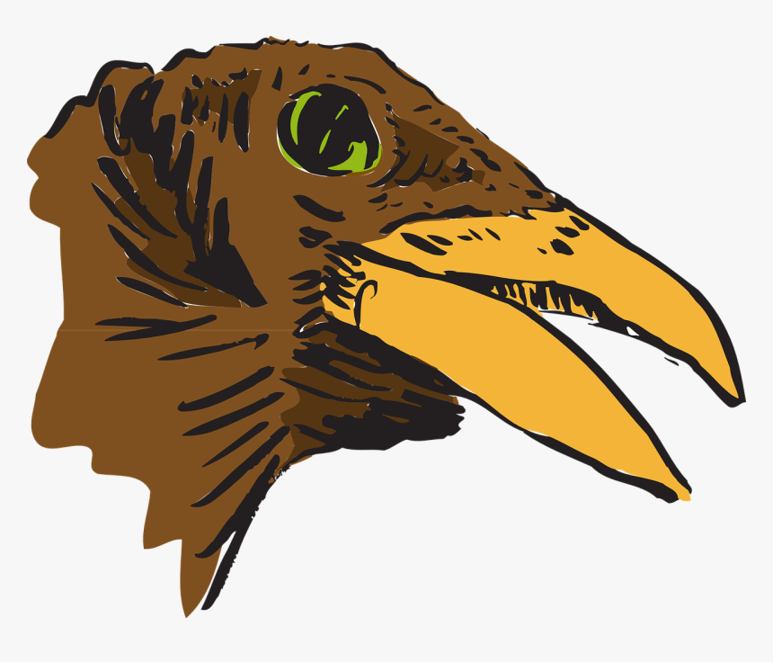 Beak Of Bird Clipart, HD Png Download, Free Download