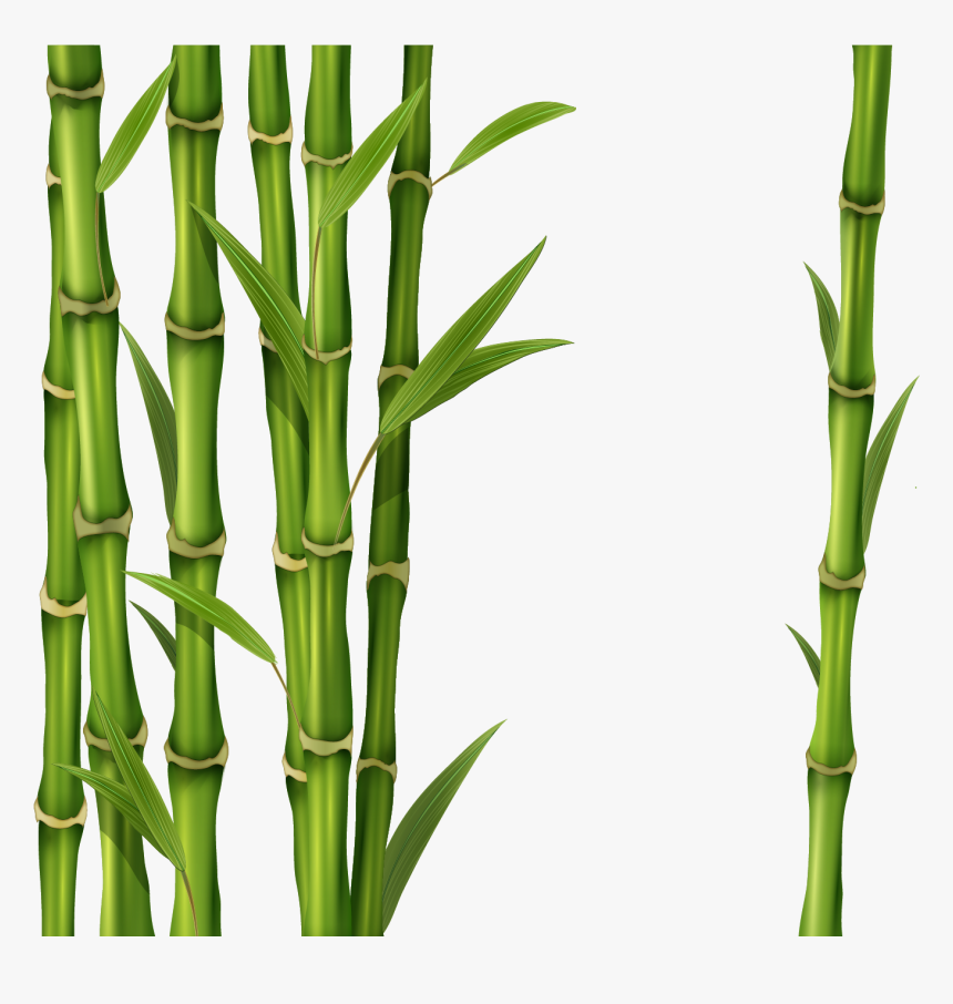 Png Free Images Only - Green Bamboo Stick Png, Transparent Png, Free Download