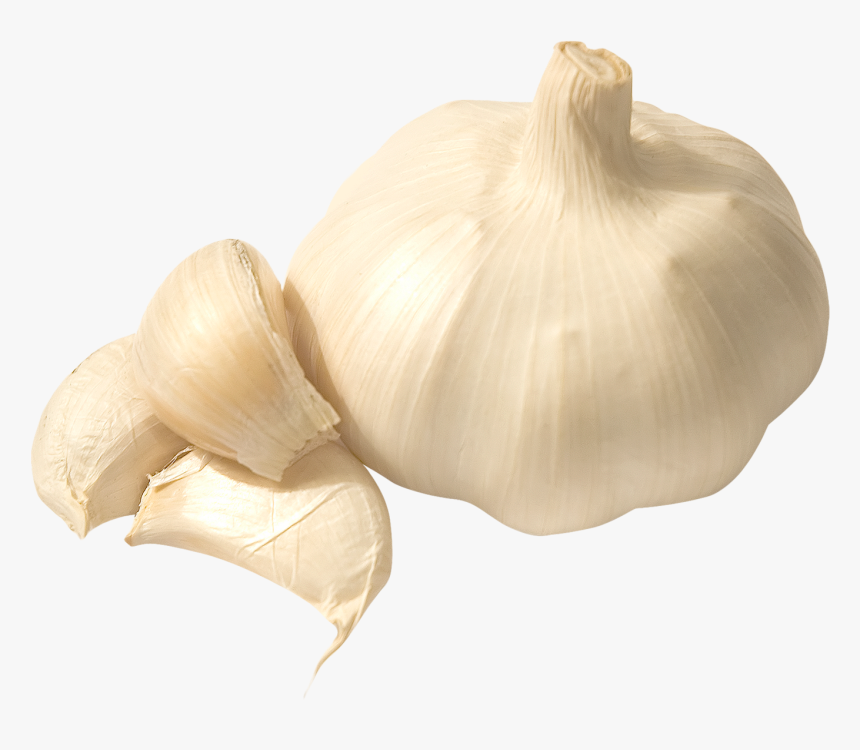 Garlic Png Image, Transparent Png, Free Download