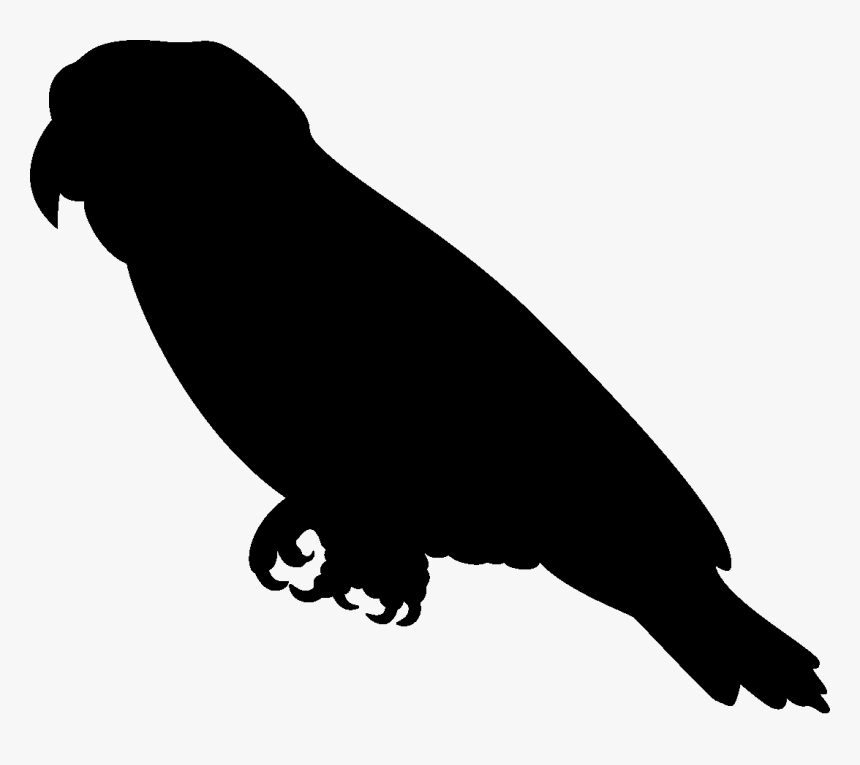 Bird Cockatiel Cockatoo Silhouette Clip Art - Parrot Silhouette Png, Transparent Png, Free Download