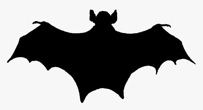 Cool Bat Tattoos Designs, HD Png Download, Free Download