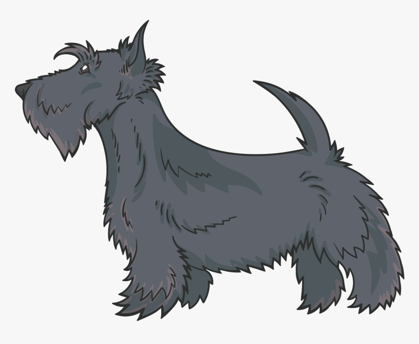 Scottish Terrier Miniature Schnauzer Cairn Terrier - Miniature Schnauzer, HD Png Download, Free Download
