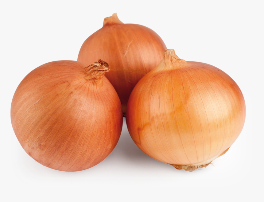 Grano De Oro Onion - Yellow Onion, HD Png Download, Free Download