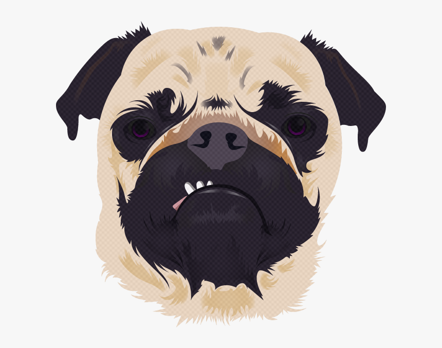 Pug Pet Animal Illustrator Illustration Adobe New Dribbble - Fondos De Pantallas De Pug, HD Png Download, Free Download