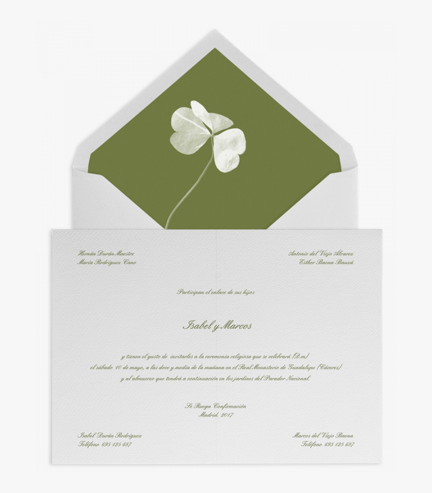 Sobre Forrado E Invitaciones De Boda Con Trebol - Jasmine, HD Png Download, Free Download