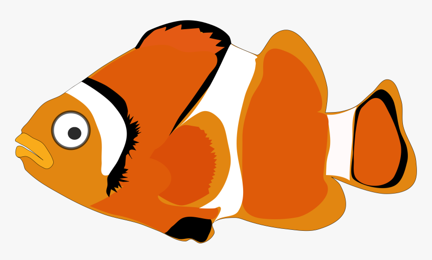 Fish Cartoon Watercolor Painting - Cartoon Clown Fish Png, Transparent Png, Free Download