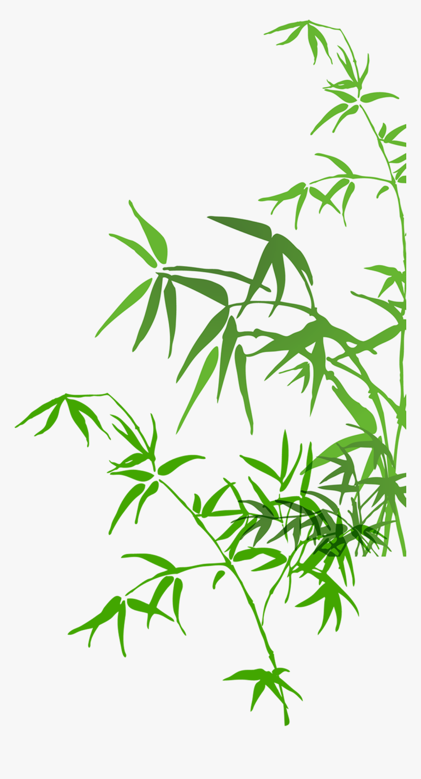 Watercolor Bamboo Painting Png File Hd Clipart - Painting Bamboo Leaf Watercolor, Transparent Png, Free Download