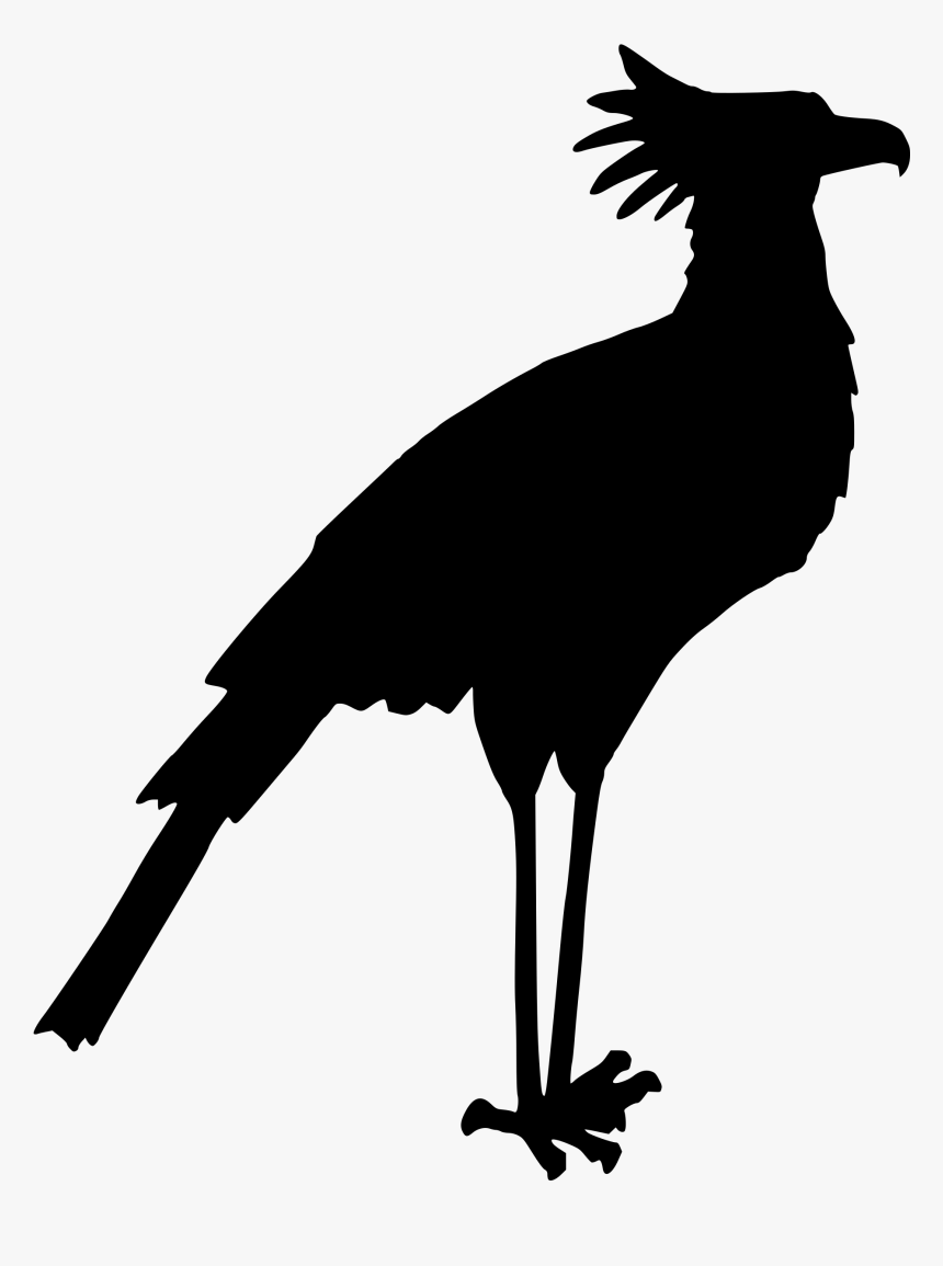 Bird Drawing Clip Art - Secretary Bird Silhouette, HD Png Download, Free Download