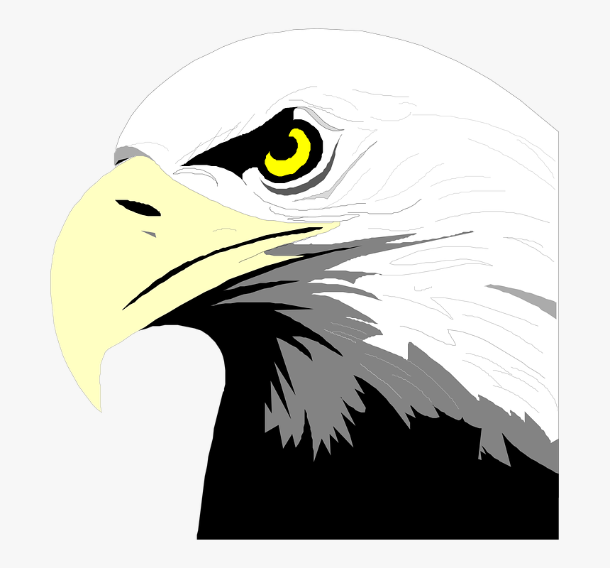 Download Bald Eagle Head Svg Clip Arts - Bald Eagle Head Clip Art ...