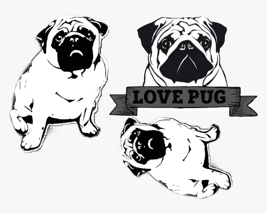 Pug Black And White, HD Png Download, Free Download