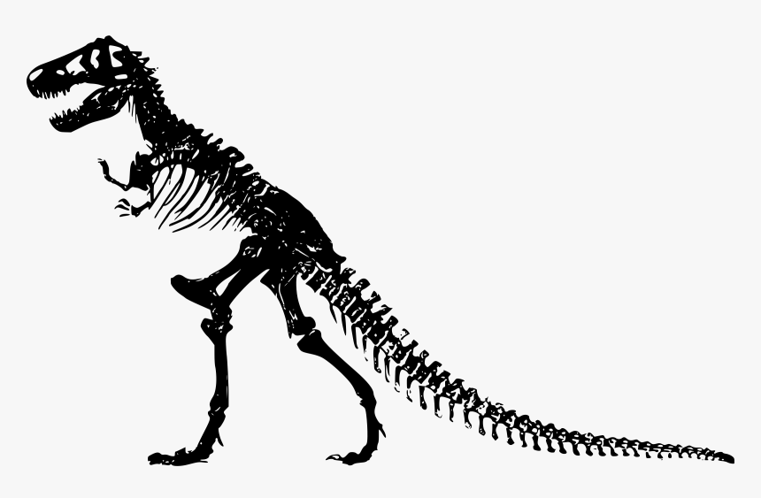 Clipart - Jurassic Park T Rex Skeleton, HD Png Download, Free Download