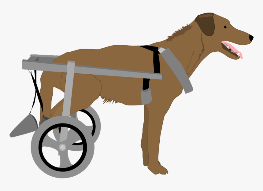 Dog With Wheelchair - Dog In Wheel Chair Clip Art, HD Png Download, Free Download
