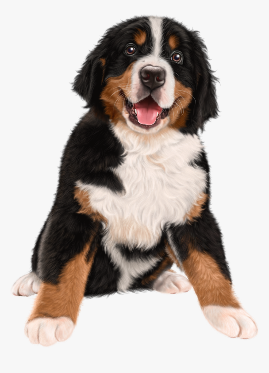 Golden Shepherd German Pug Dog Cuteness Puppy Clipart - Bernese Mountain Dog Png, Transparent Png, Free Download