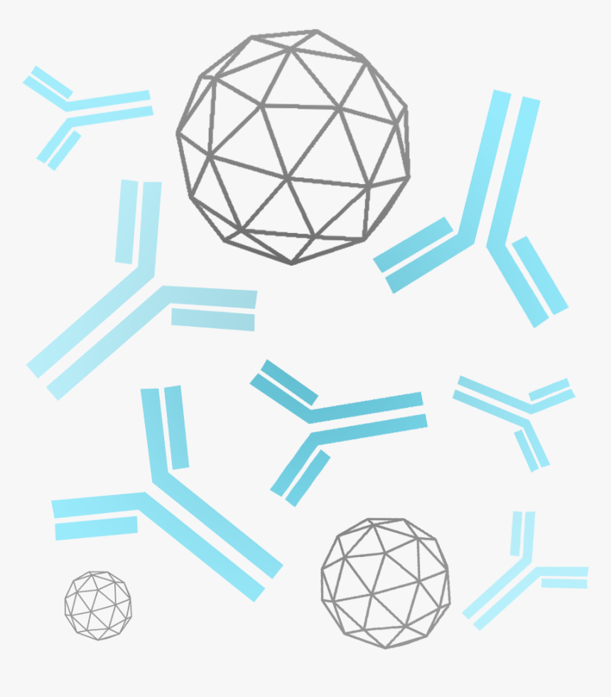 Immunogens, HD Png Download, Free Download