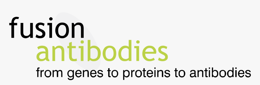 Fusion Antibodies Logo Png Transparent - Hydraulic Rams, Png Download, Free Download